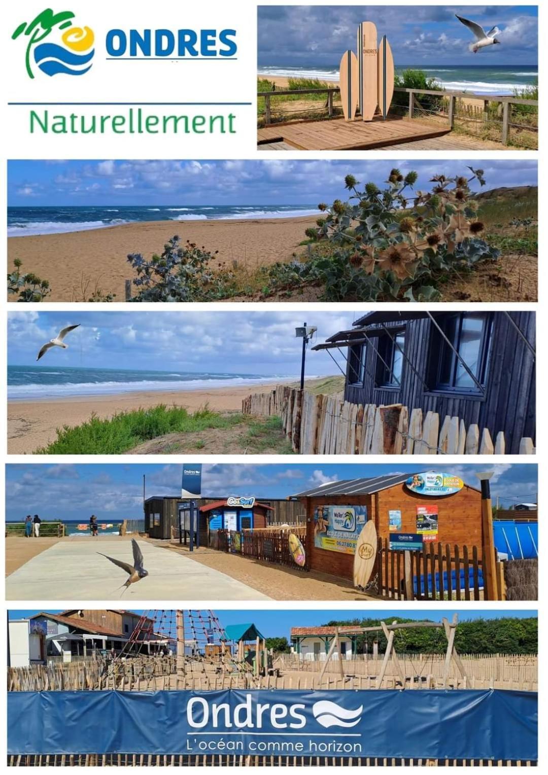 T2 Turquoise Ondres Plage Avec Piscine Et Tennis Exterior foto